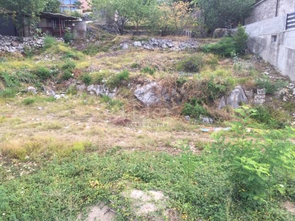 Image 5179004 - 1