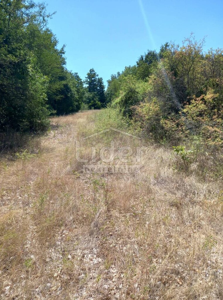 Image 5179011 - 1