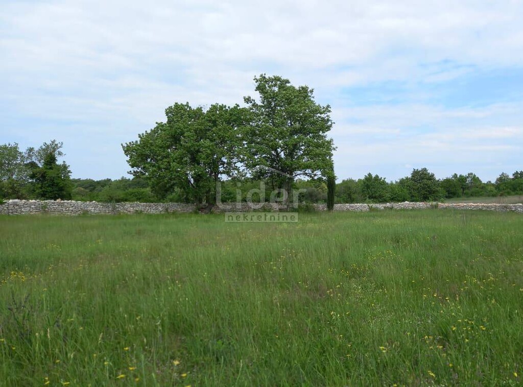 Image 5179081 - 1
