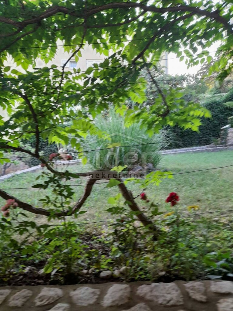 Image 5179134 - 22
