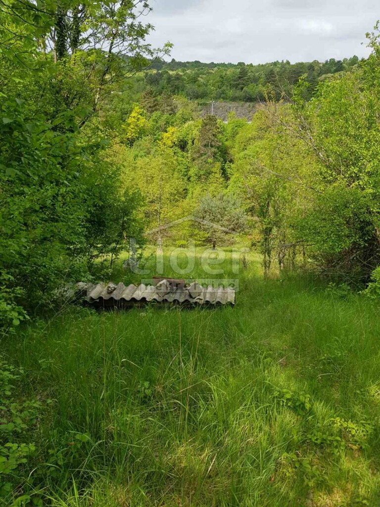 Image 5179148 - 5