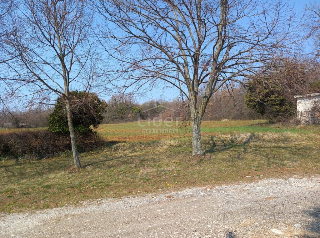 Image 5179221 - 6