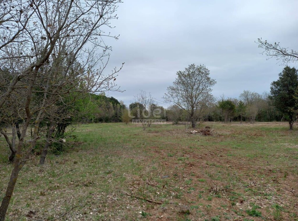 Image 5179230 - 4