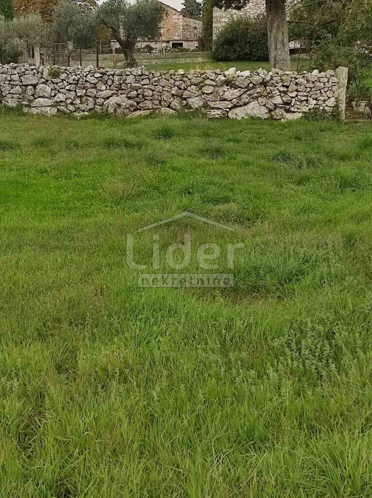 Image 5179267 - 7