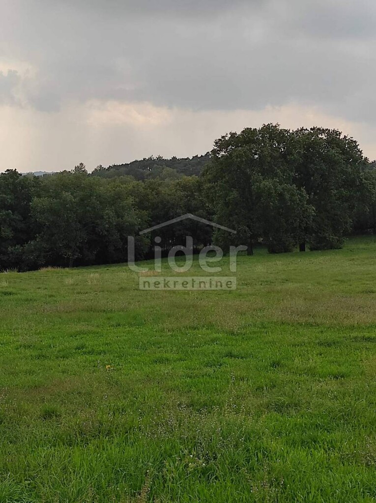 Image 5179267 - 9