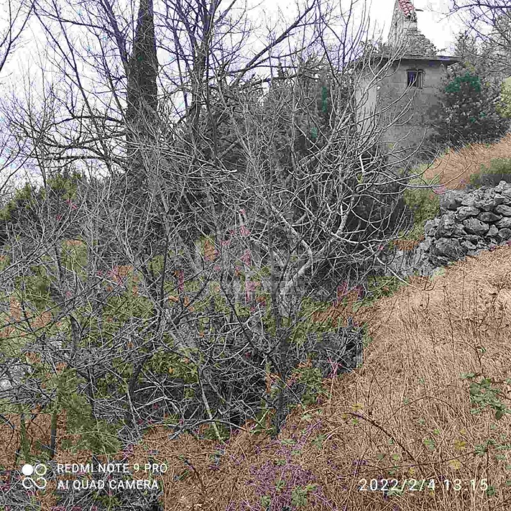 Image 5179282 - 4