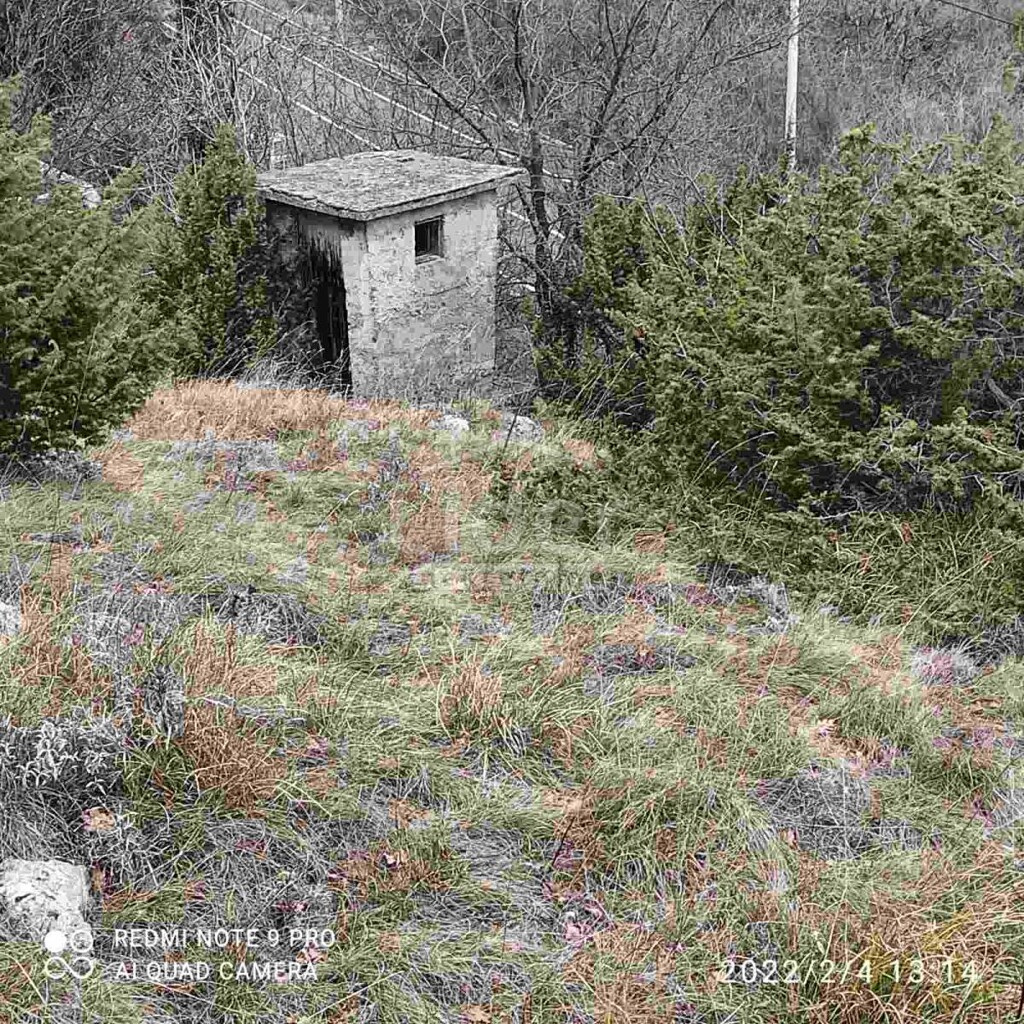 Image 5179282 - 7