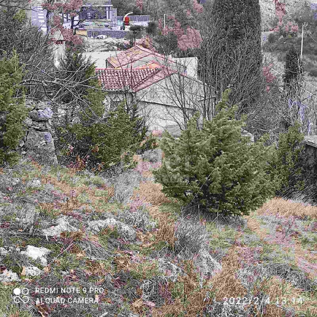 Image 5179282 - 6