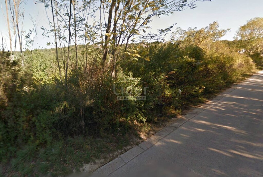 Image 5179310 - 1