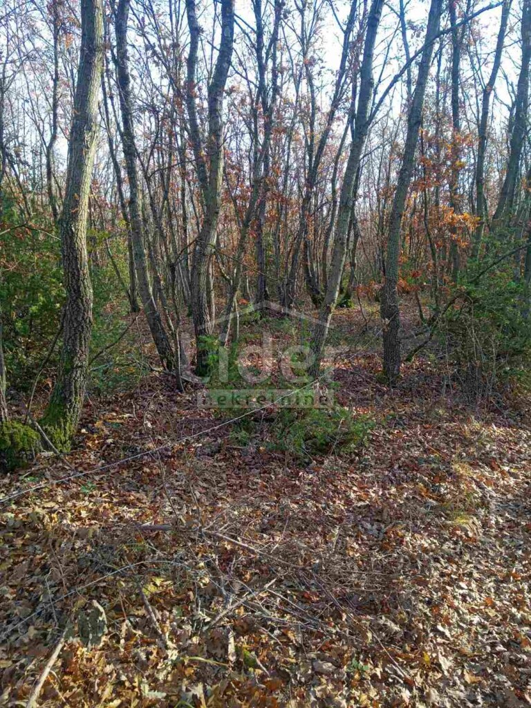 Image 5179353 - 7