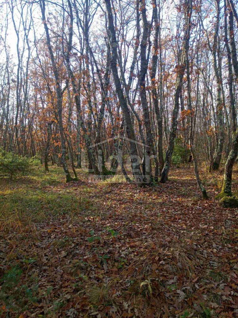 Image 5179353 - 8