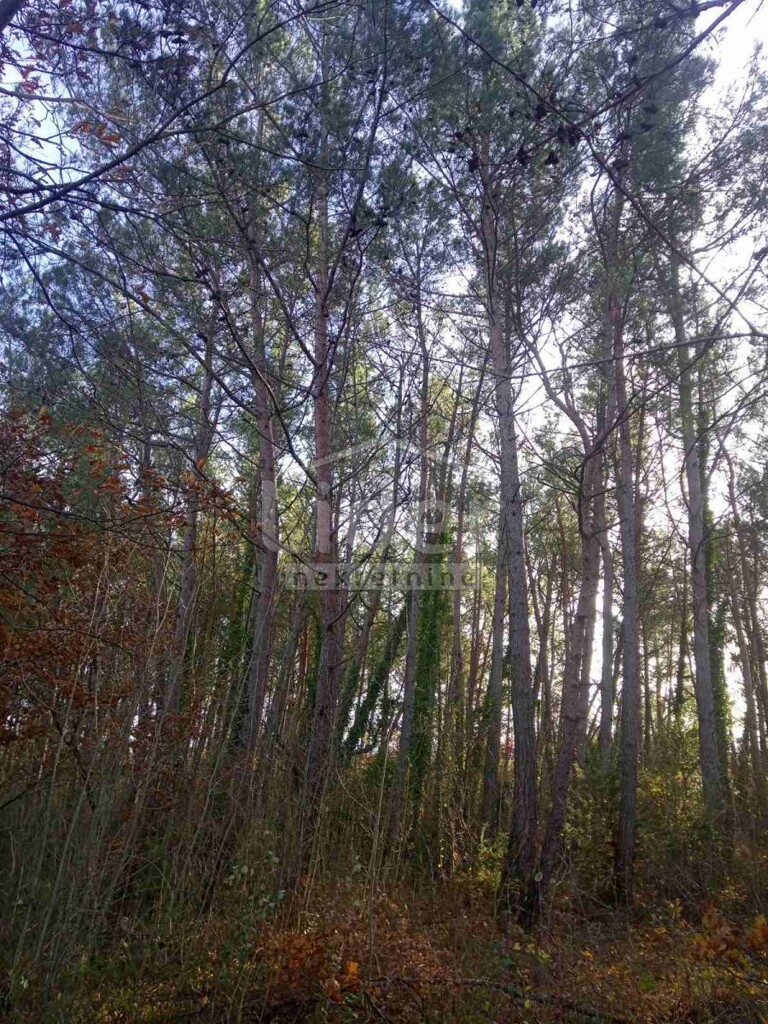 Image 5179353 - 9