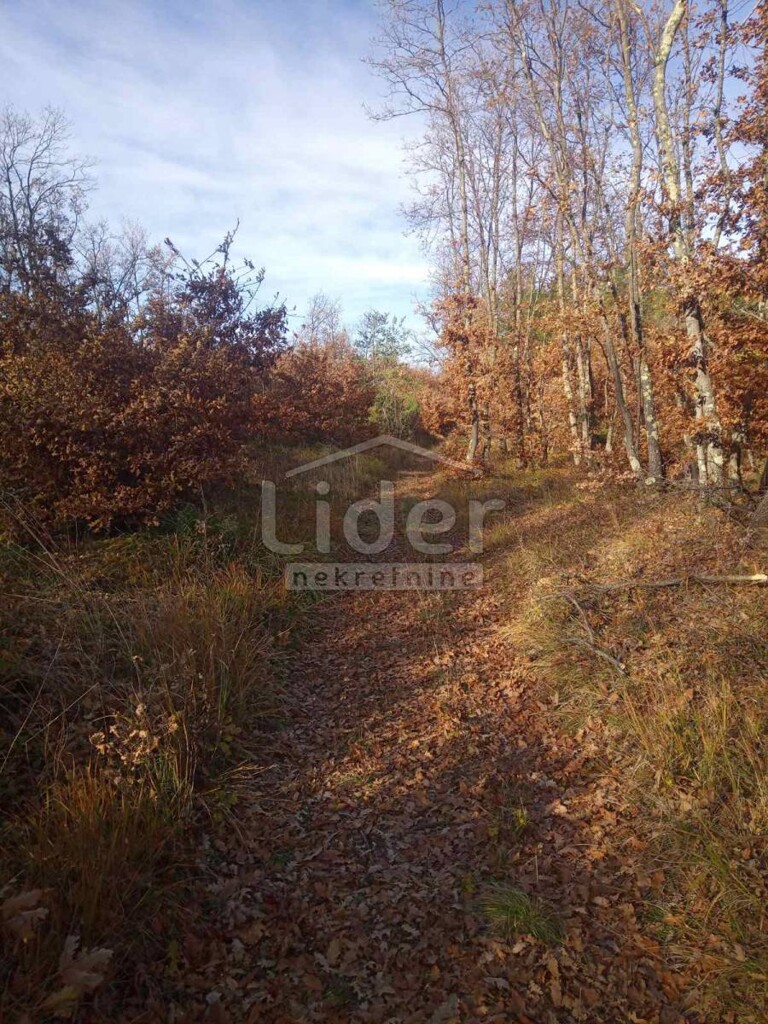 Image 5179353 - 3