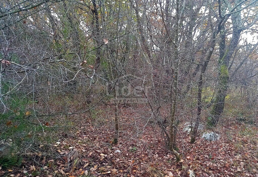 Image 5179355 - 2