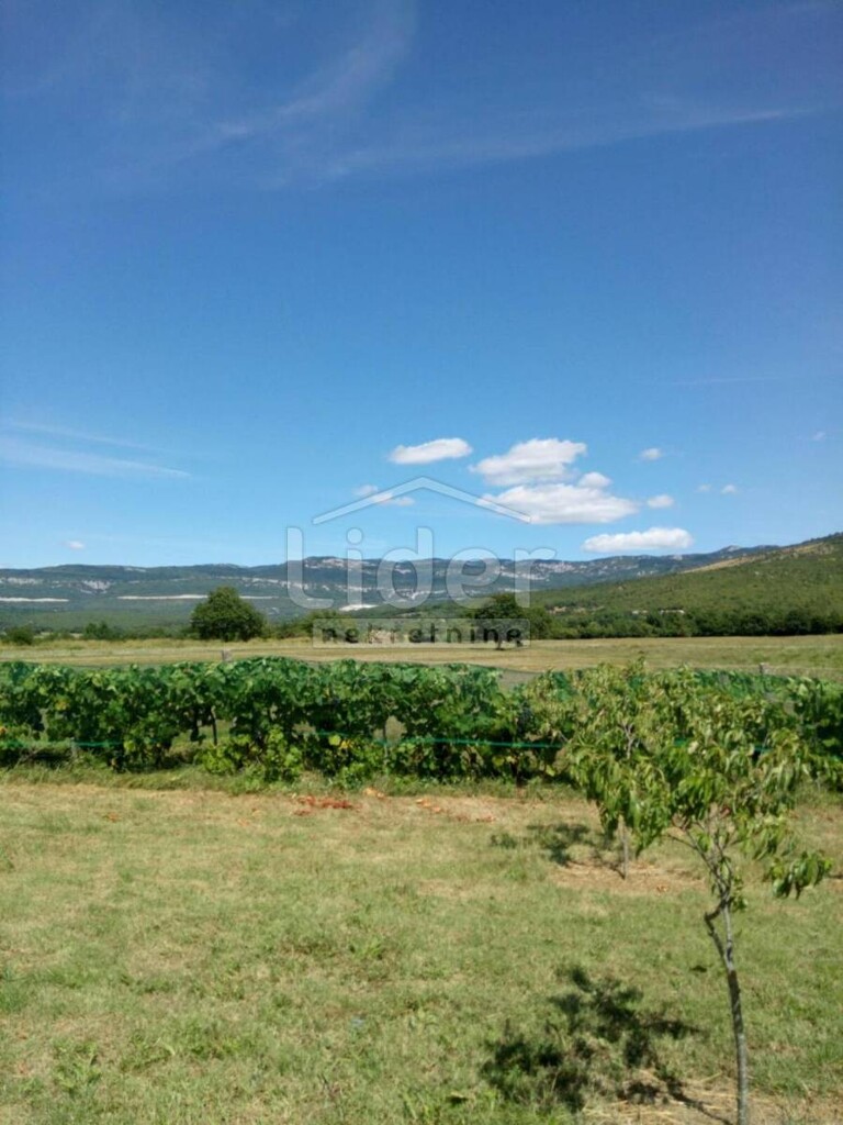 Image 5179359 - 8