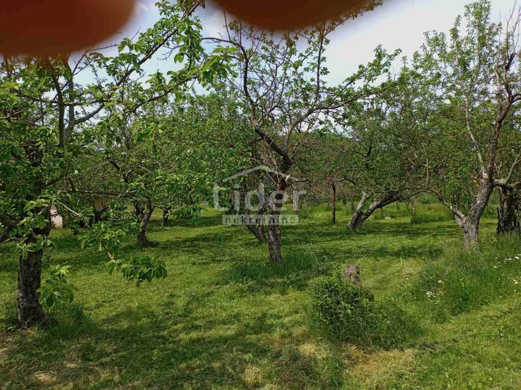 Image 5179359 - 2