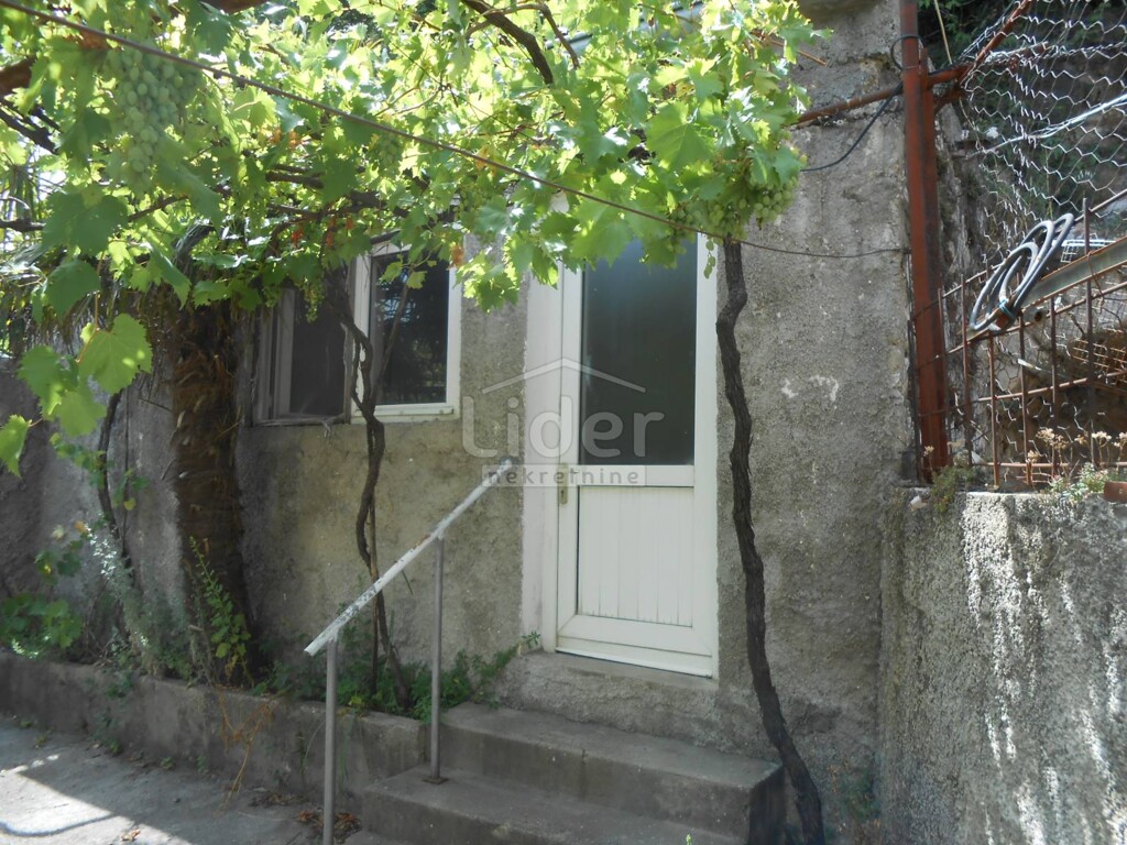 Image 5179398 - 8