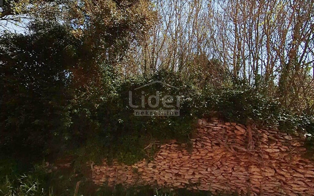 Image 5179416 - 2