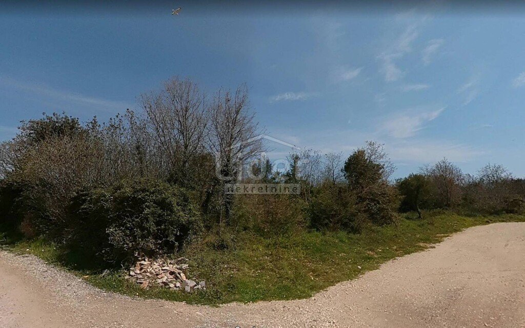 Image 5179416 - 1