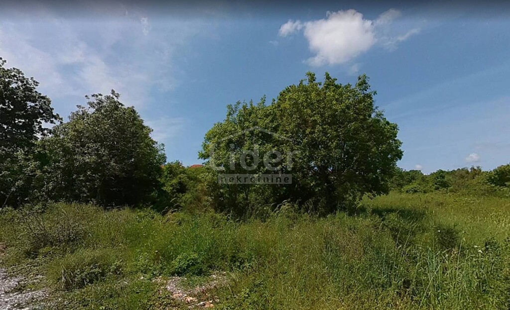 Image 5179416 - 3