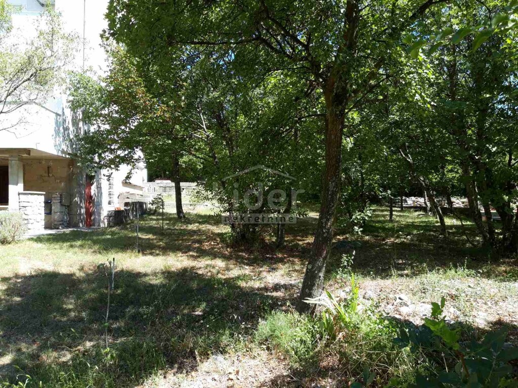 Image 5179419 - 4