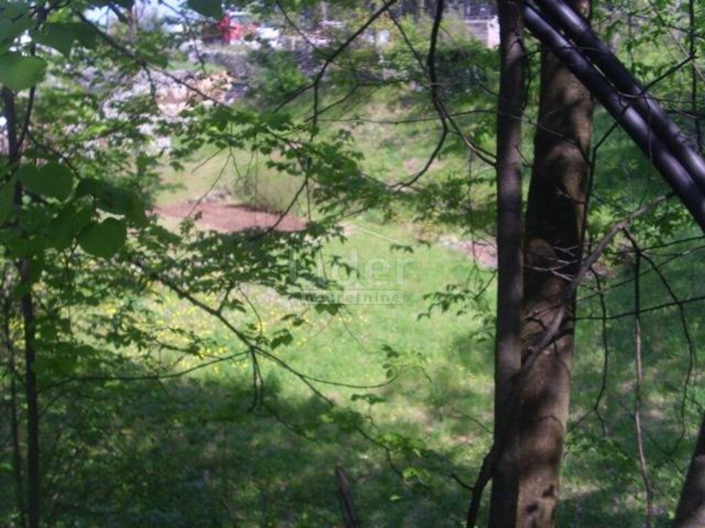 Image 5179423 - 8