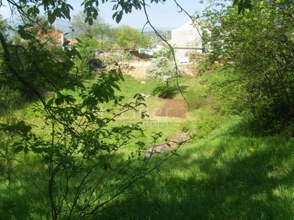 Image 5179423 - 6