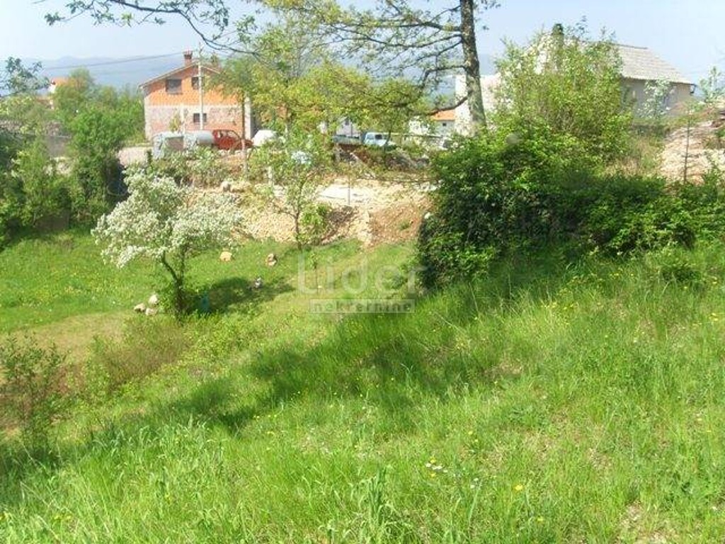 Image 5179423 - 1