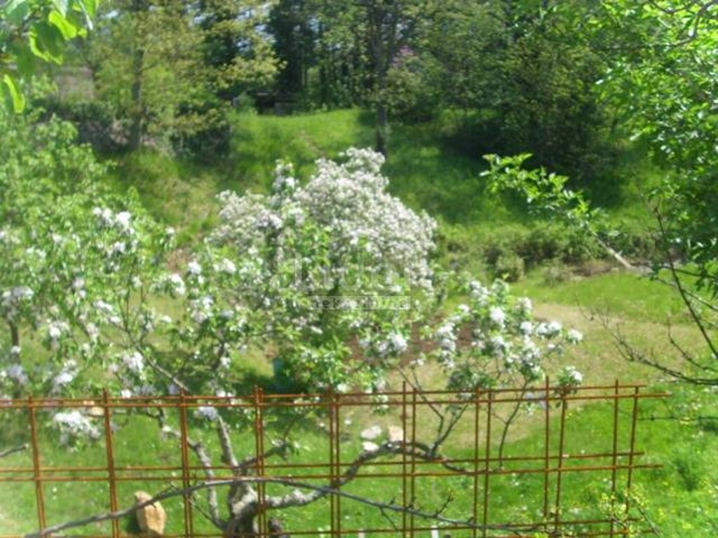Image 5179423 - 3