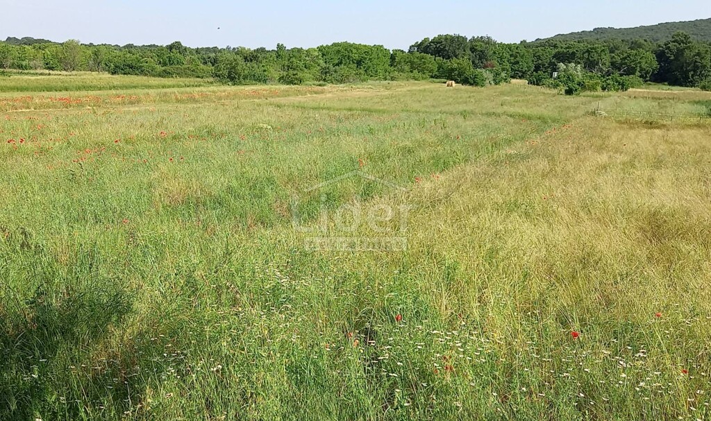 Image 5179450 - 3