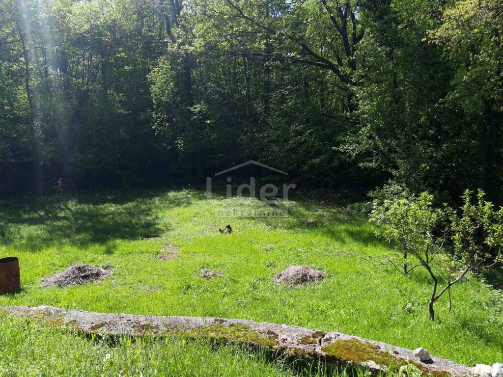 Image 5179461 - 6