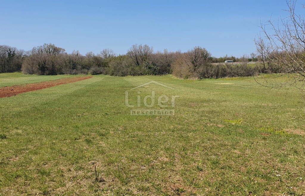 Image 5179466 - 3