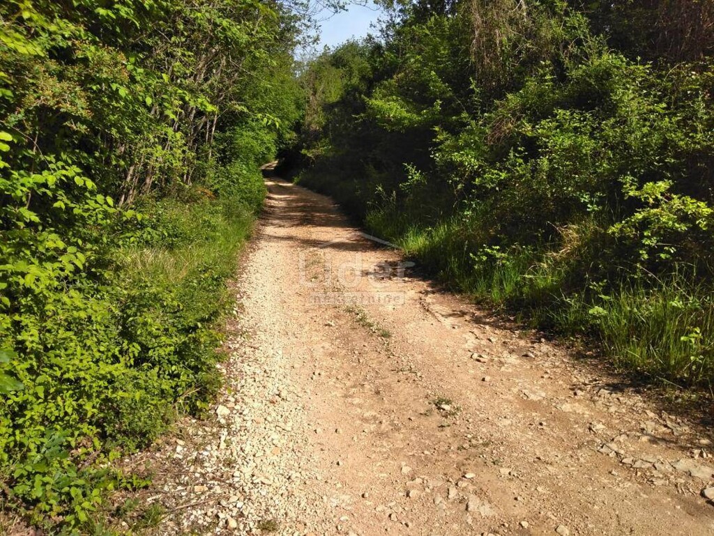 Image 5179493 - 5