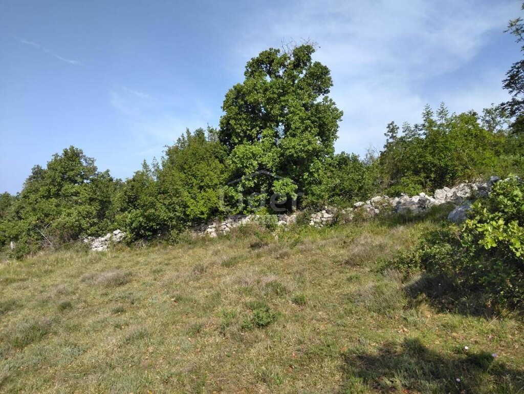 Image 5179493 - 2