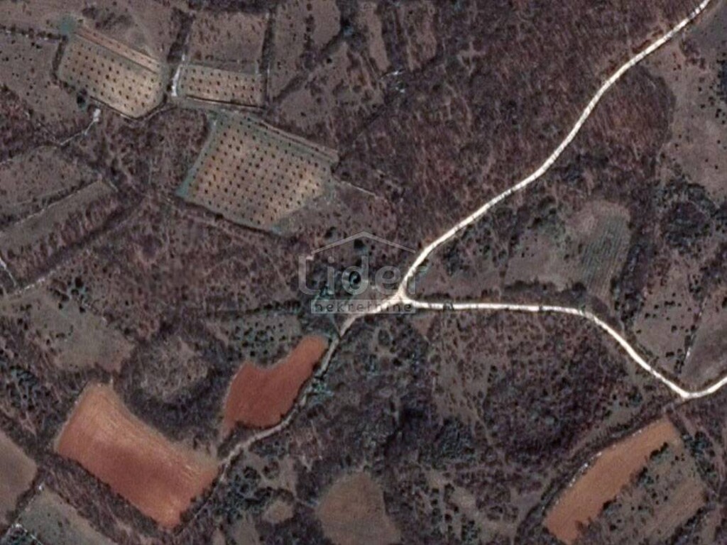 Image 5179502 - 1