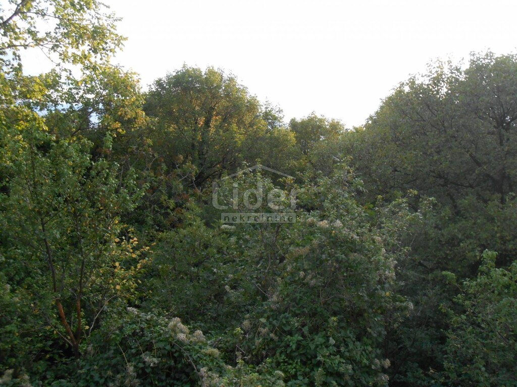 Image 5179519 - 3