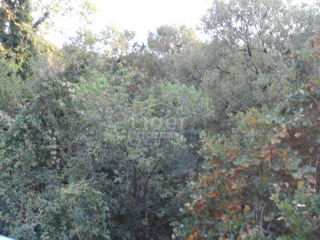 Image 5179519 - 1