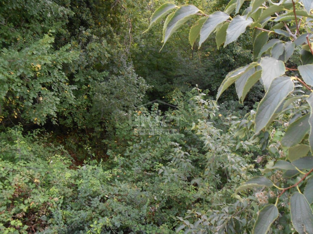Image 5179519 - 4