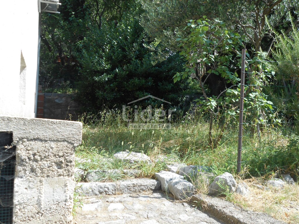 Image 5179527 - 21