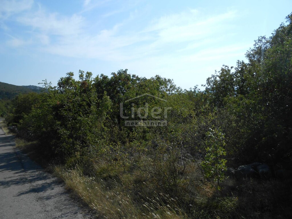 Image 5179529 - 2
