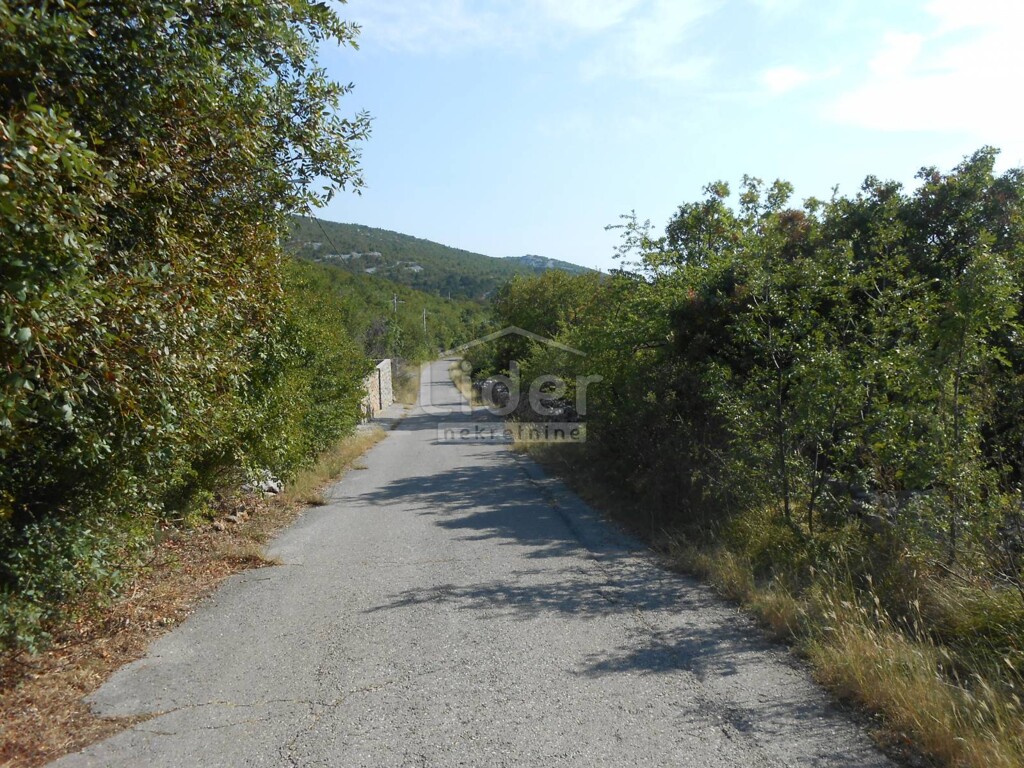 Image 5179529 - 4