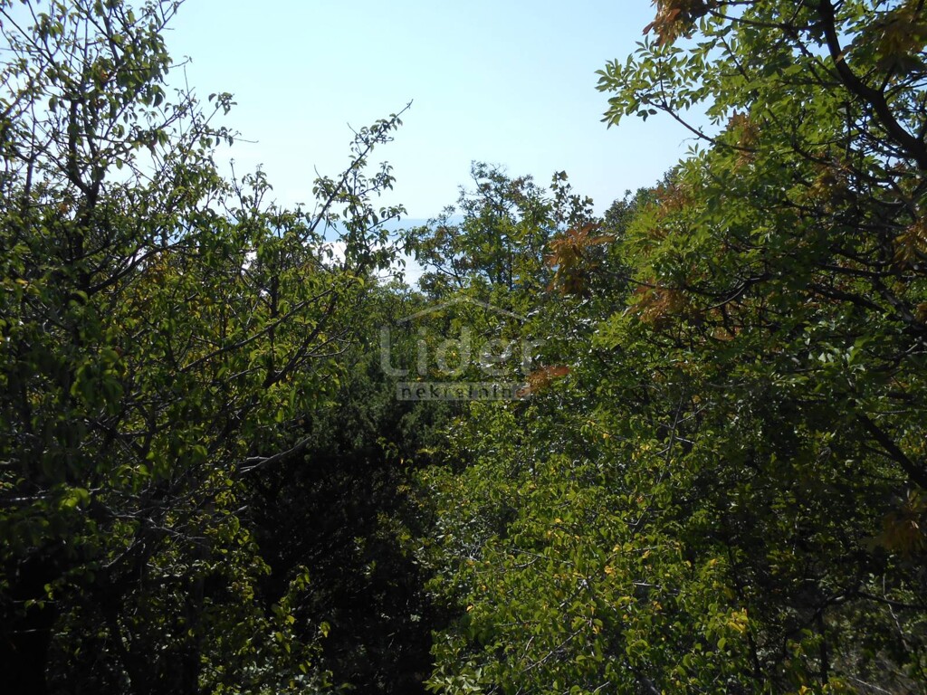 Image 5179529 - 1