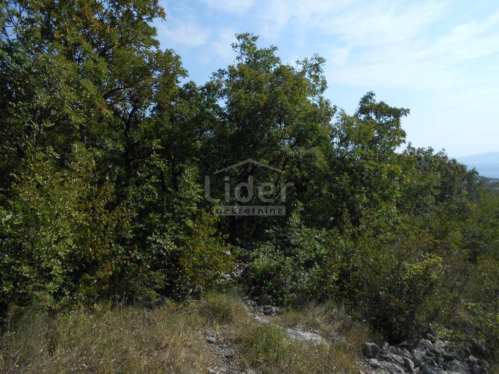Image 5179529 - 3