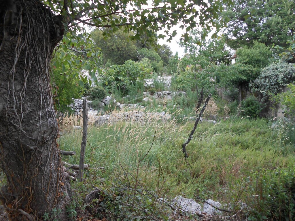 Image 5179553 - 2