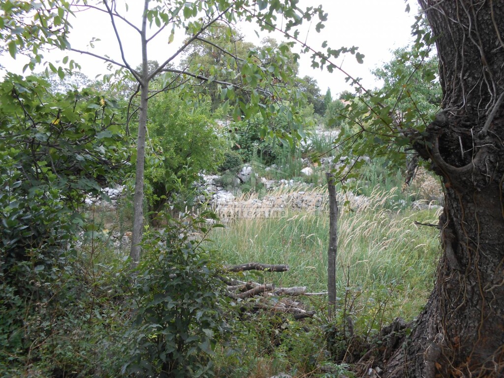 Image 5179553 - 3