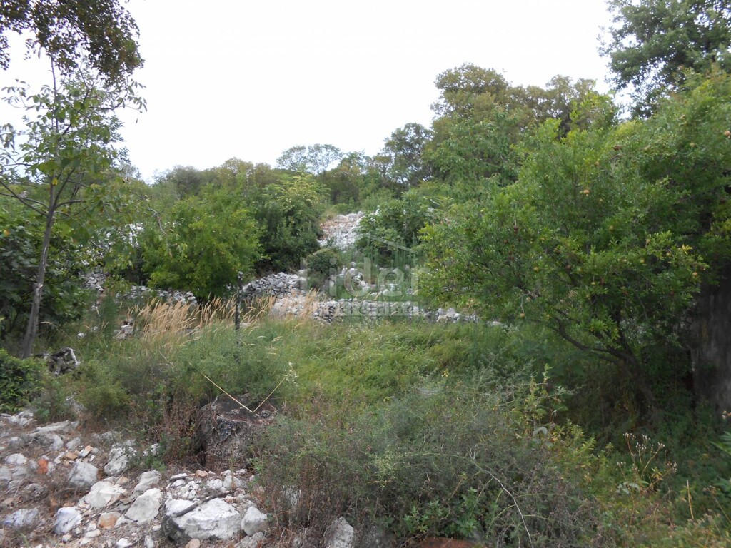 Image 5179553 - 1