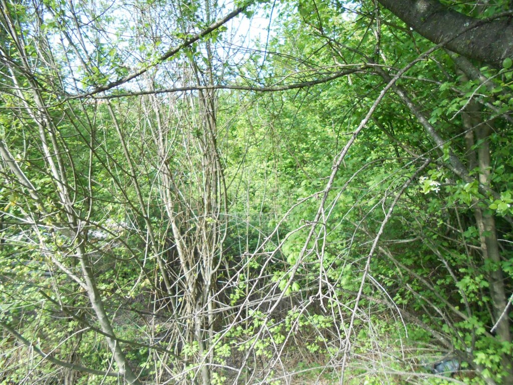 Image 5179580 - 3