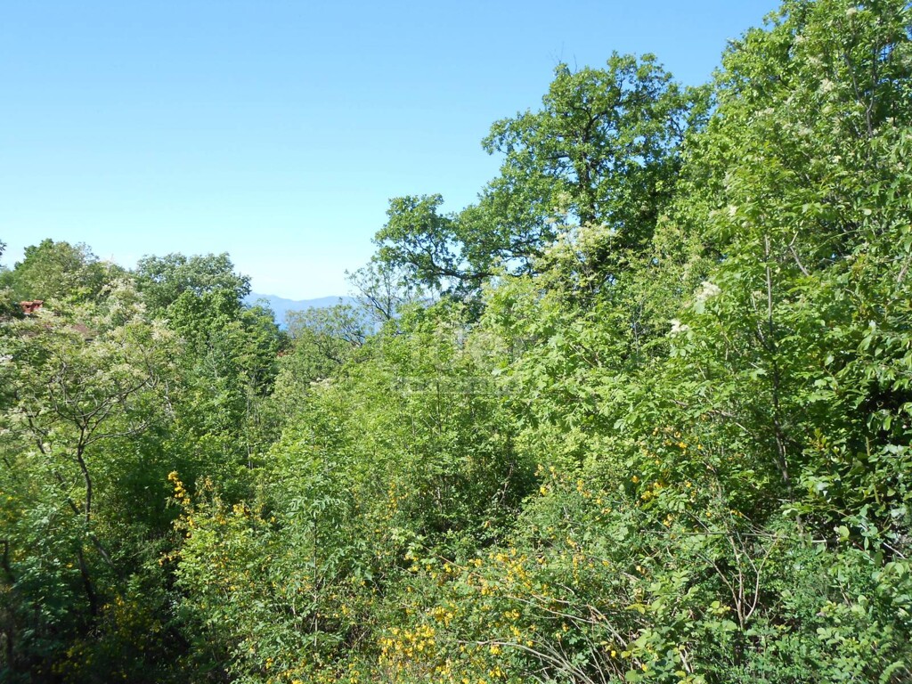 Image 5179581 - 2