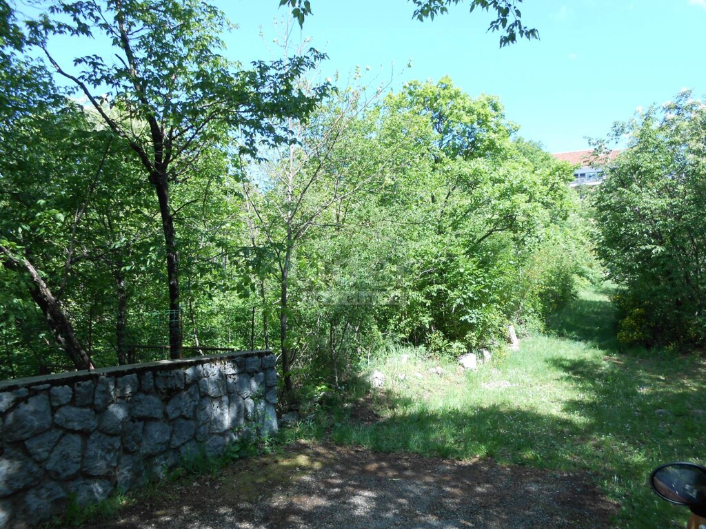 Image 5179581 - 3