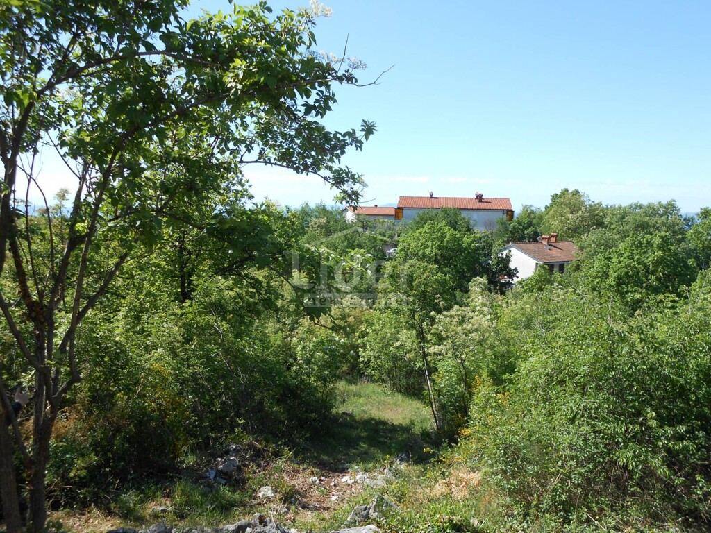 Image 5179581 - 1